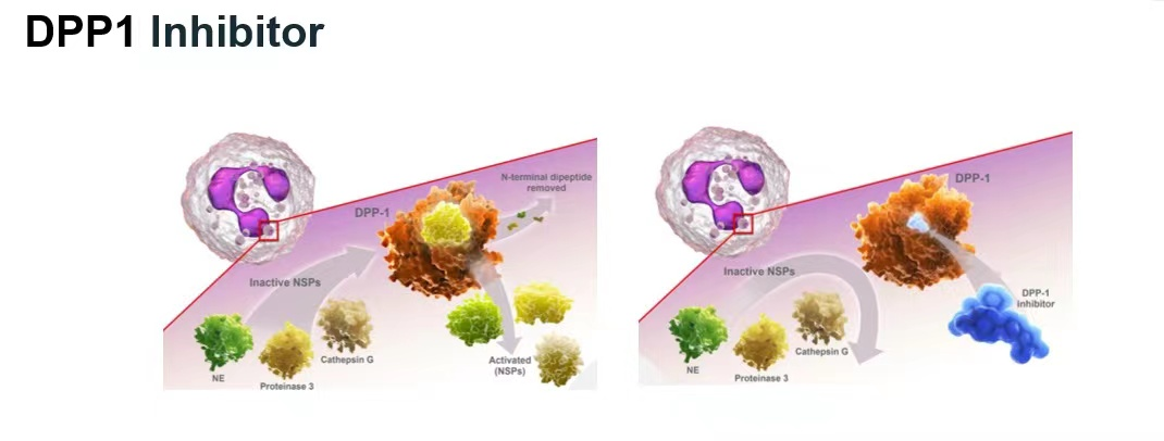 20221117/d8305100f861f688edb15cdb3ad78438.png 20221117/d8305100f861f688edb15cdb3ad78438.png